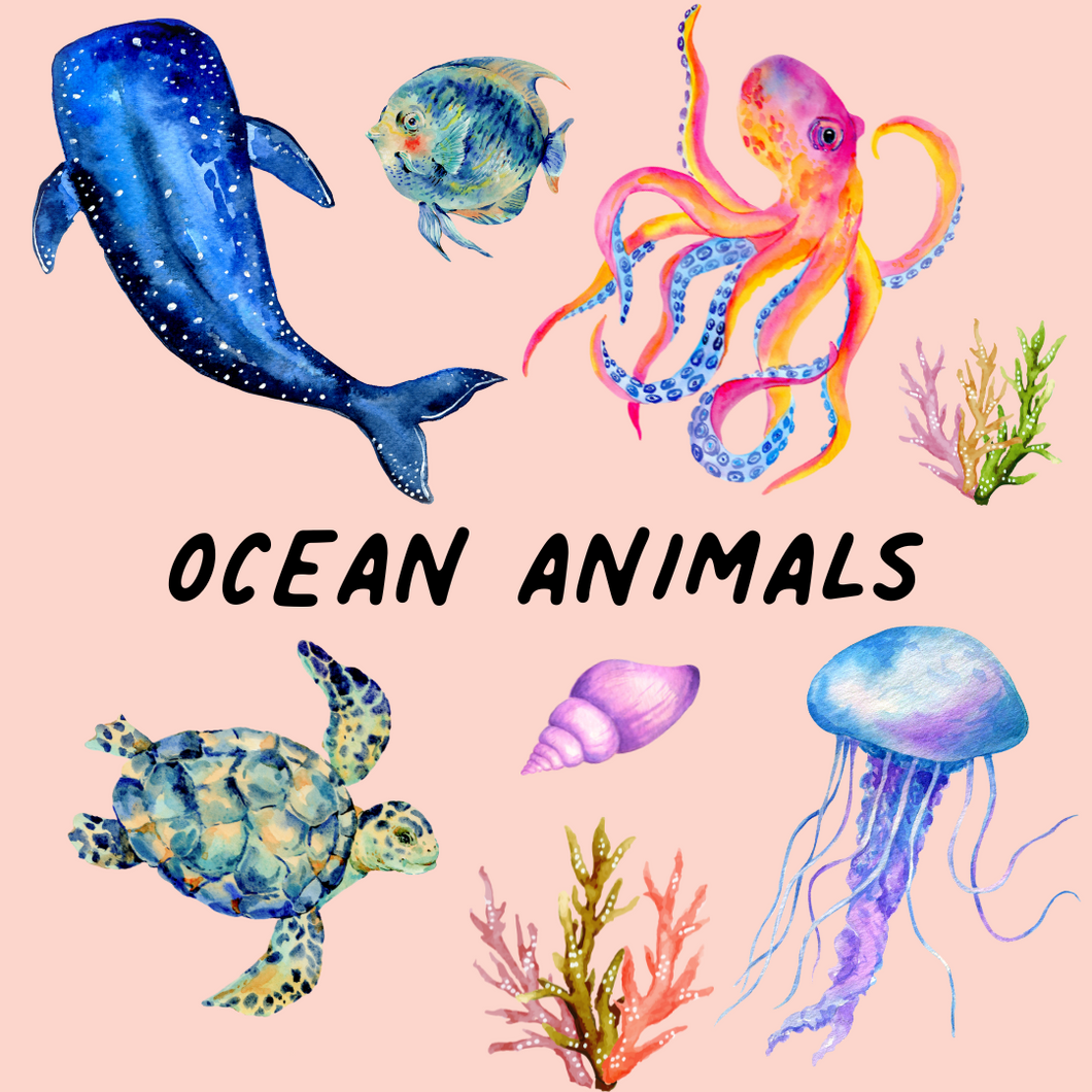 Ocean Animals Digital Activity Sheets